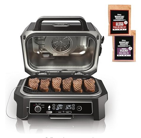 Ninja OG850 4-in-1 Master Grill & Smoker