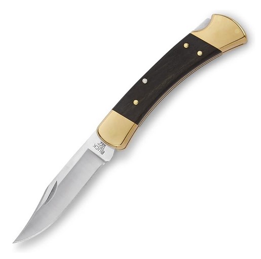 Buck Knives 110 Folding Hunter Lock-back Knife