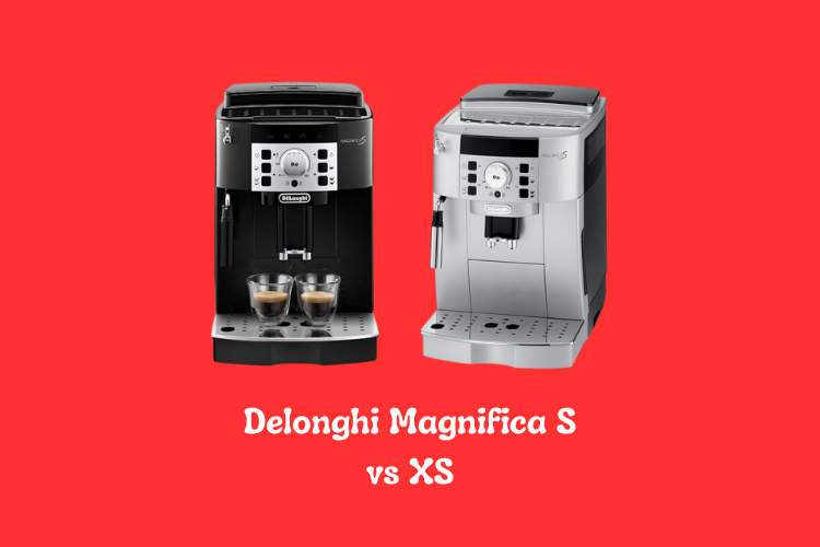 Delonghi Magnifica S vs XS