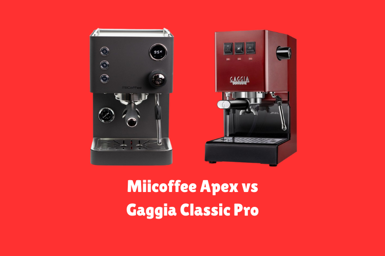 Miicoffee Apex vs Gaggia Classic Pro