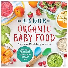The Big Book of Organic Baby Food