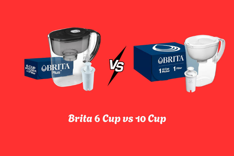 Brita 6 Cup vs 10 Cup